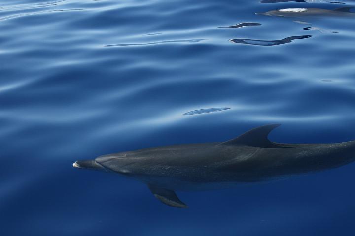 Azul 036.jpg